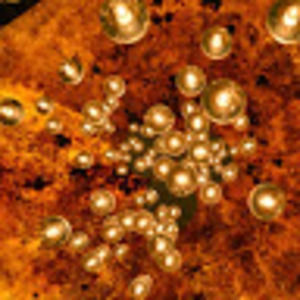 Meet your Posher, Fernanda